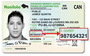 Manitoba Driver's Licence Card or Enhanced Driver's Licence Card