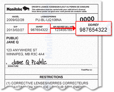 Manitoba Driver's Licence Addendum